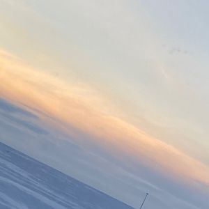 Meet your Posher, Bailey